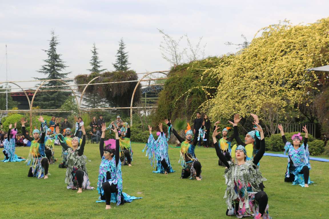 cf museo 6