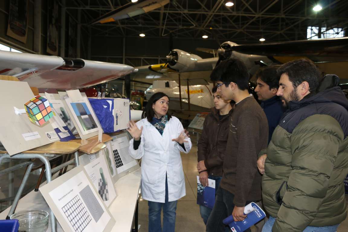cf museo 7