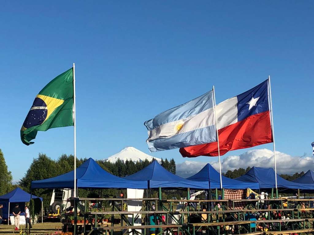 villarrica (1)